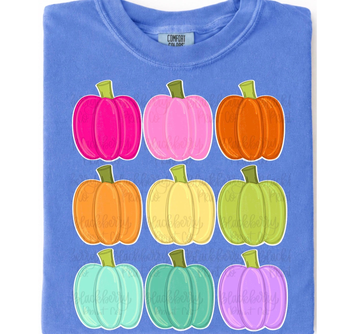 Colorful Pumpkin
