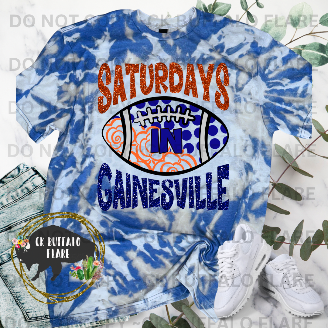 Saturdays in Gainesville