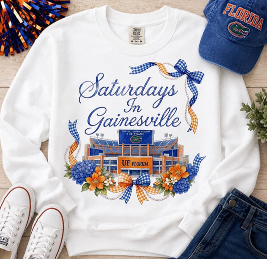 Saturdays in Gainesville
