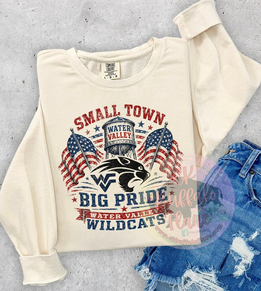 Water Valley Small Town Pride 250 years